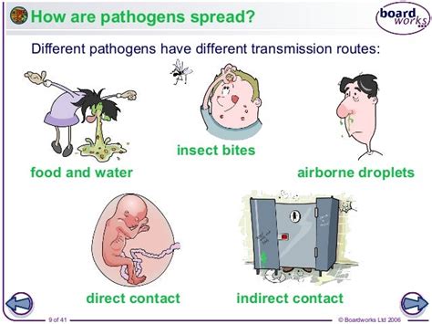 what is a direct way of transmitting a pathogen