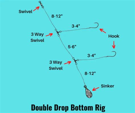 What Is A Double Drop Bottom Rig