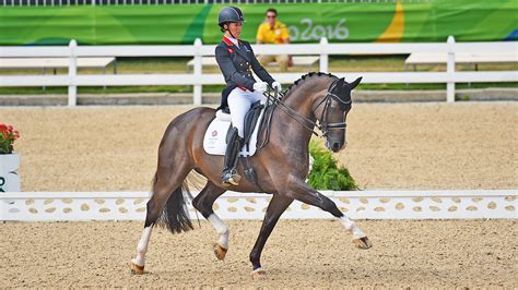 what is a dressage horse