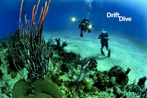 What Is A Drift Dive