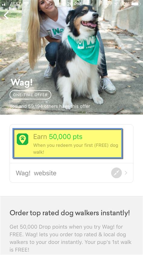 What Is A Drop In On Wag