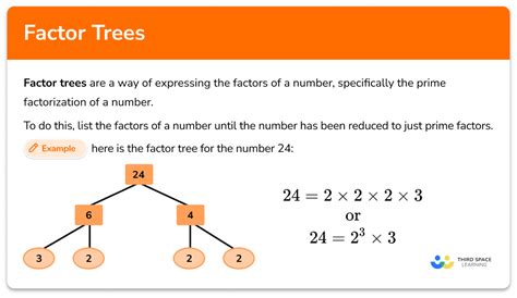 what is a factor in maths for class 6
