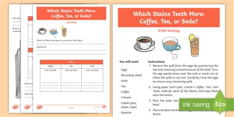 what is a fair test in science examples