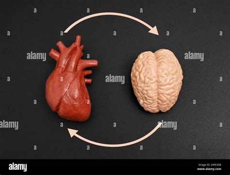 What Is A Feedback Loop Brain