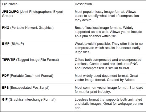 what is a file format example