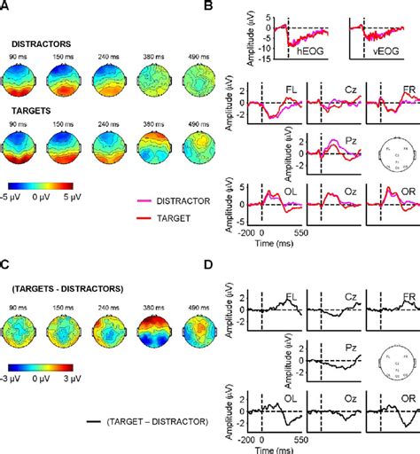 What Is A Fixation Event