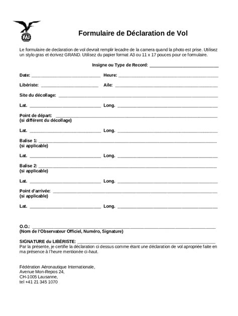 What Is A Flight Declaration Form