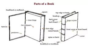 what is a flyleaf in a book