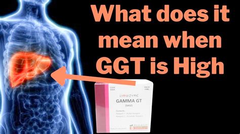 what is a gamma gt test