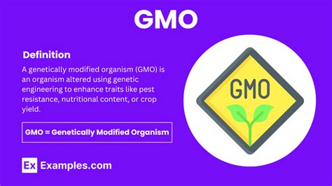 Uncovering the Truth: What is a GMO and Why Should You Care?