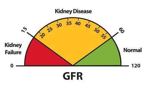 what is a good kidney function number