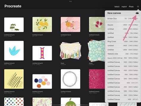 what is a good procreate canvas size