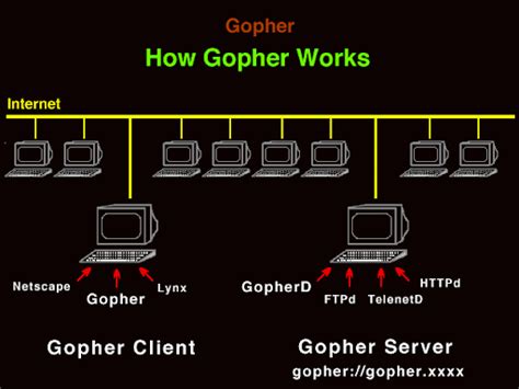 What Is A Gopher Internet