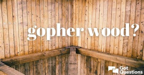 What Is A Gopher Wood
