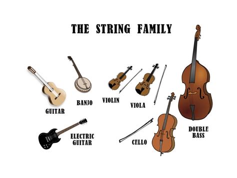 what is a group of people who play string instruments called