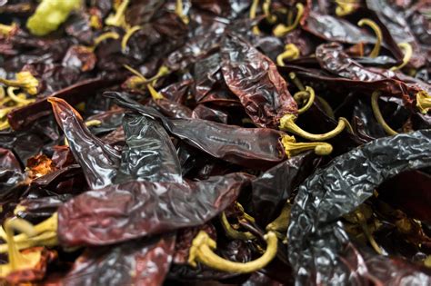 what is a guajillo pepper