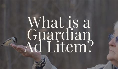 what is a guardian ad litem for an adult