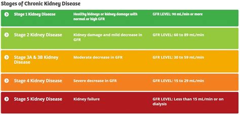 what is a healthy kidney function number