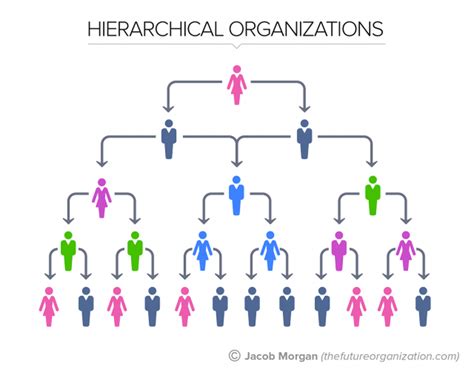 what is a hierarchy diagram