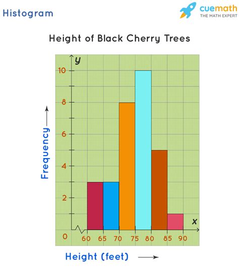 what is a histogram graph