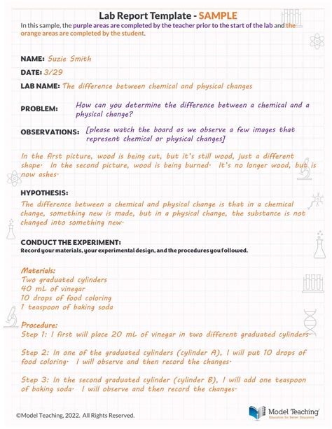 What Is A Lab Report Example