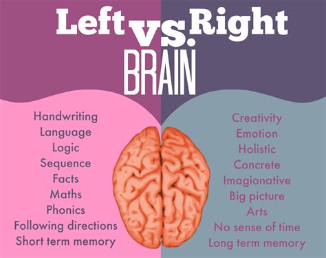 what is a left brain learner