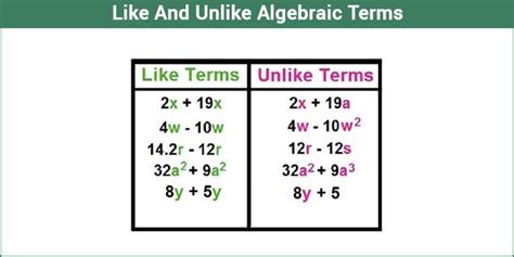 what is a like term in math example