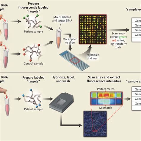 what is a limitation to dna microarray analysis