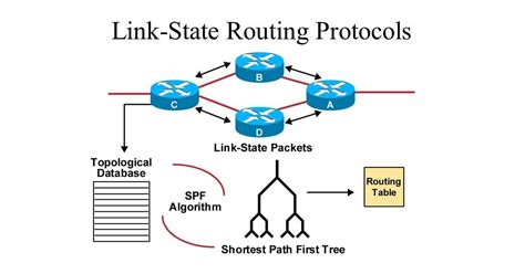 What Is A Link State Routing Protocol And Distance Vector Routing Protocol