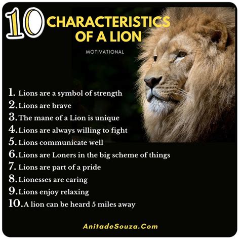 what is a lioness characteristics