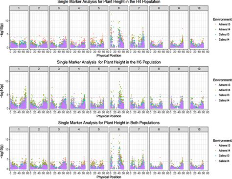 What Is A Marker Analysis