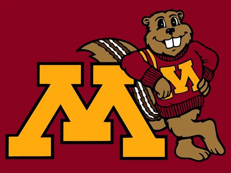 What Is A Minnesota Gopher