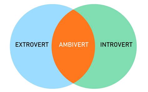 what is a mix of extrovert and introvert called