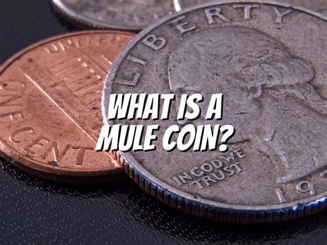 what is a mule coin