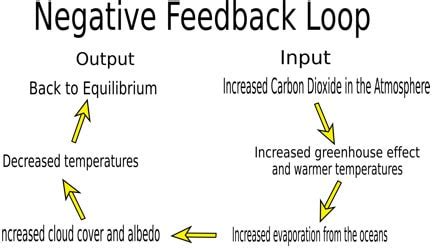 What Is A Negative Feedback Loop Geography