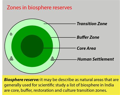 What Is A Neutral Buffer Zone