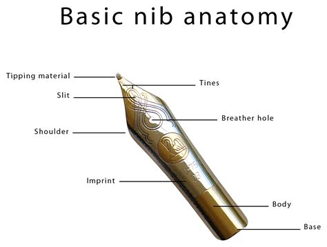 What Is A Nib In English