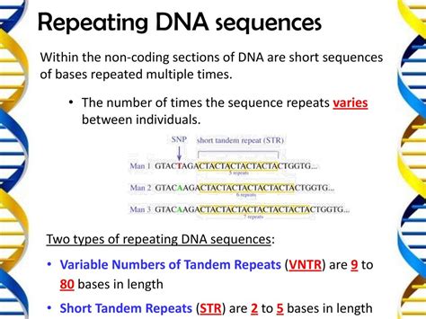 what is a non coding base sequence
