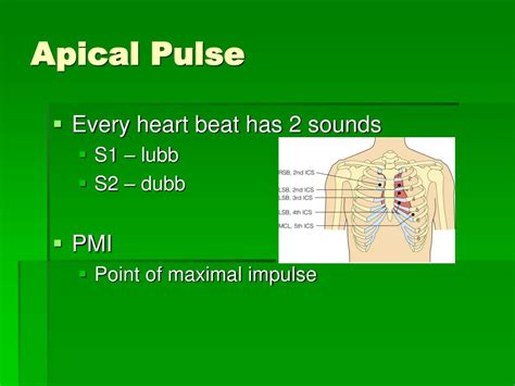 what is a normal range for apical pulse