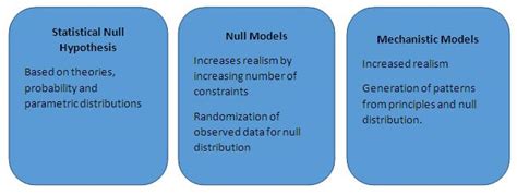 what is a null model