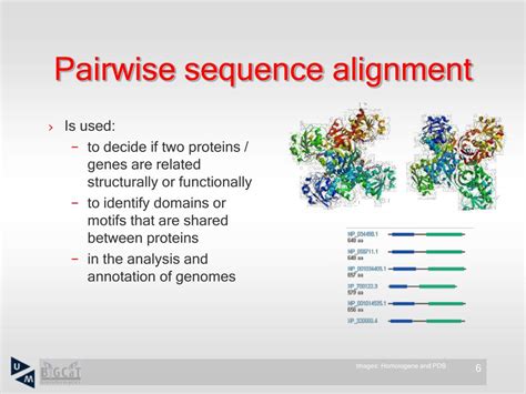 What Is A Pairwise Alignment