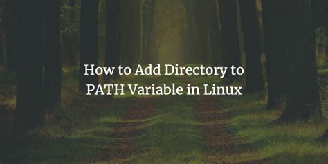 what is a path variable in linux