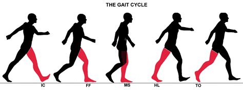 what is a person's gait