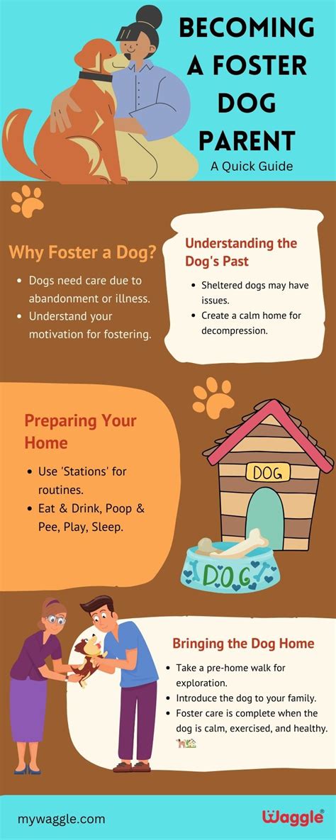 What Is A Pet Foster