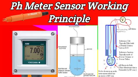 What Is A Ph Sensor Used For