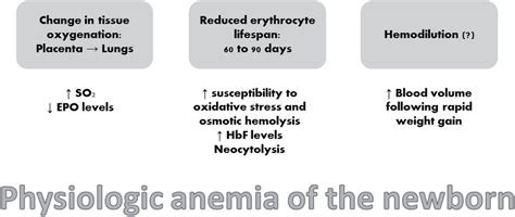 What Is A Physiologic Anemia