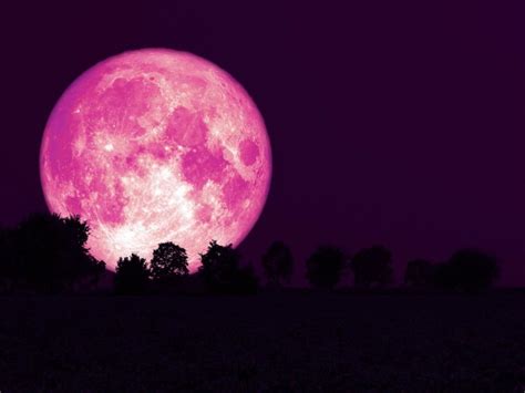 what is a pink moon called
