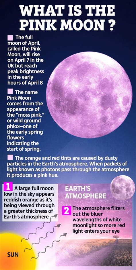 what is a pink moon meaning