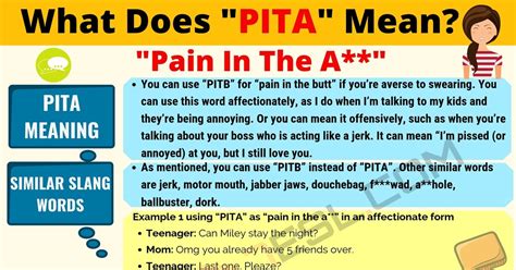 what is a pita in text