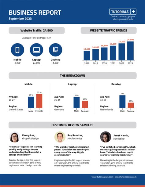 what is a post marketing report